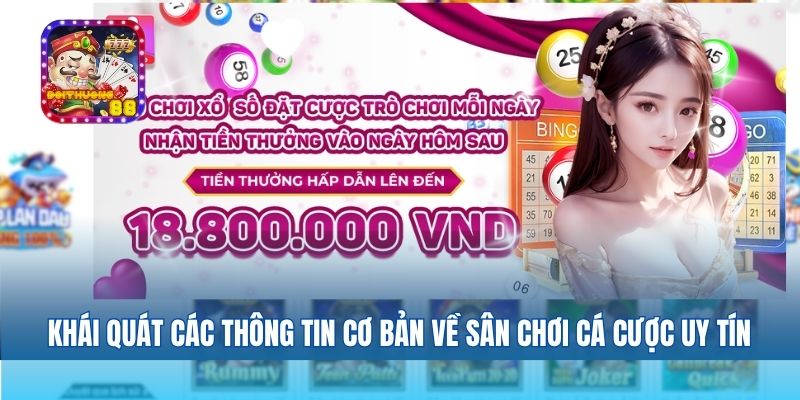 Review MMLIVE – Nhà Cái Cá Cược Đẳng Cấp Nhất Thị Trường Việt