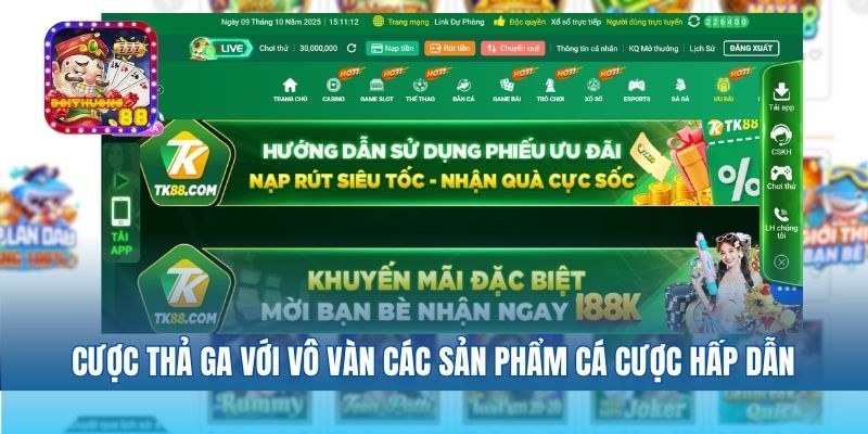 Review TK88 – Trải Nghiệm Nhà Cái Cá Cược Uy Tín Hàng Đầu